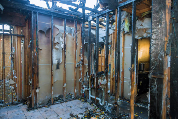 Professional Smoke Damage Removal technician working in Lebanon, KY
