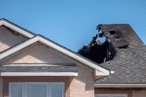 Top rated local Smoke Damage Removal specialists in Lebanon, KY